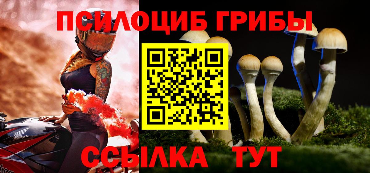 Псилоцибиновые грибы прущие грибы Зеленодольск